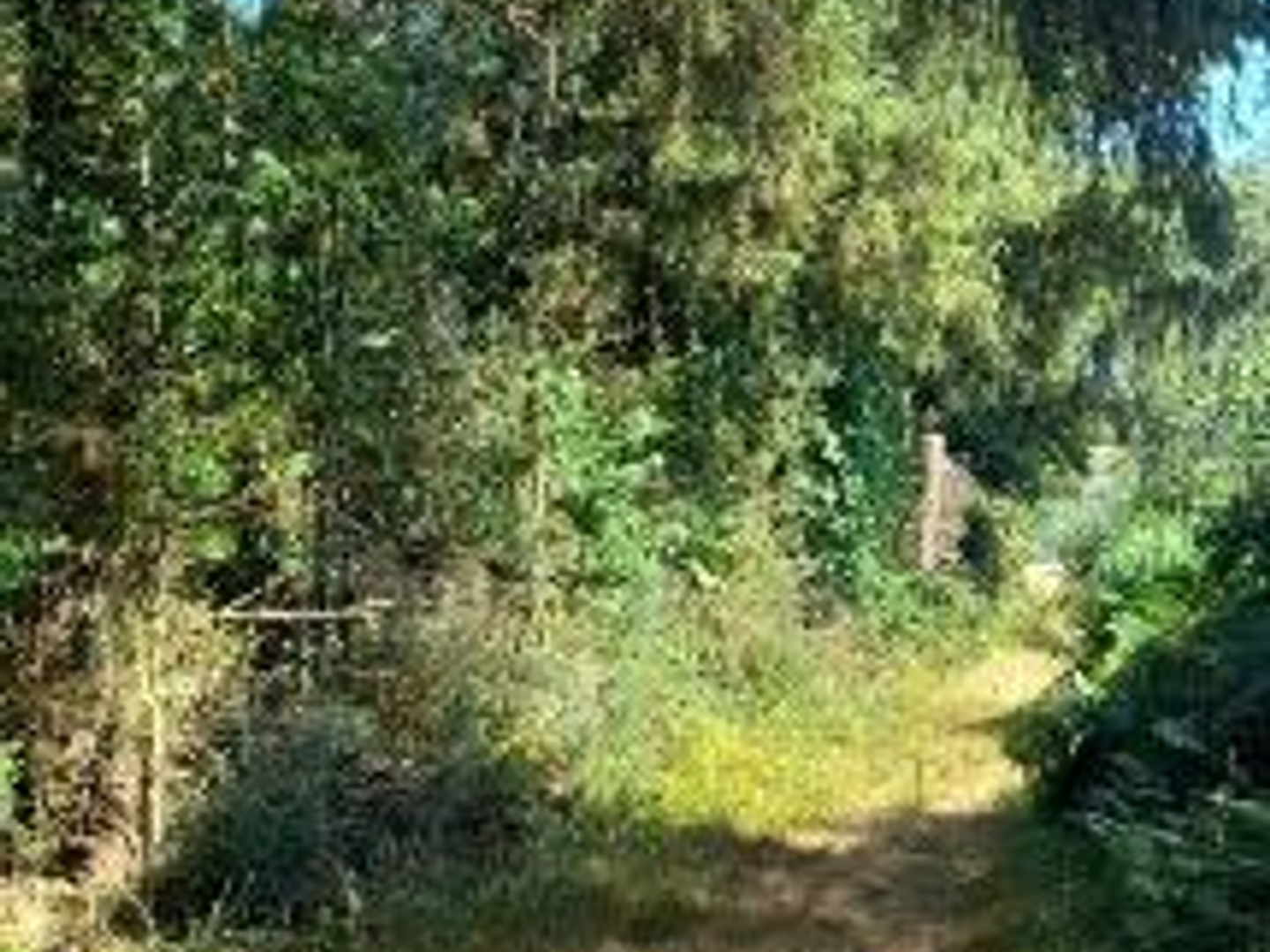 Terrain à vendre - 30000m2 - Trégarvan (29560)