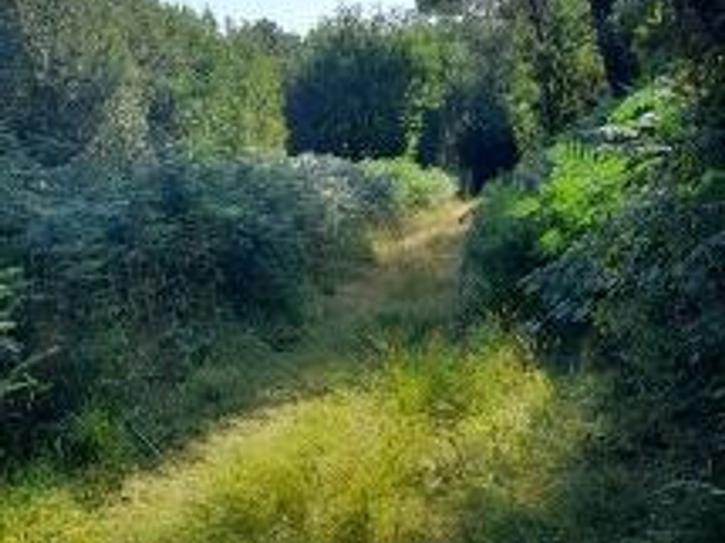 Terrain à vendre - 30000m2 - Trégarvan (29560)