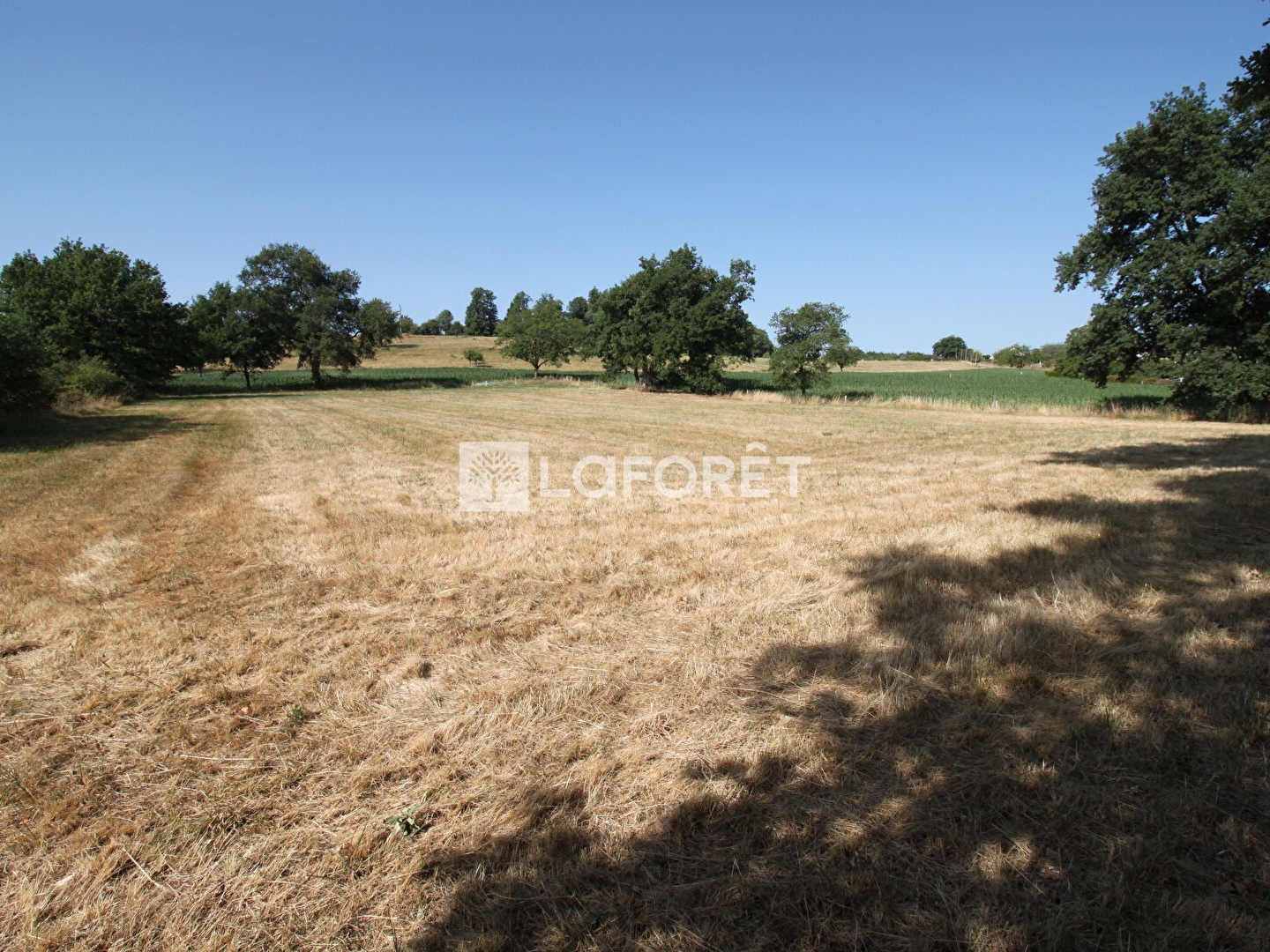 Terrain à vendre - 5362m2 - Thiviers (24800)