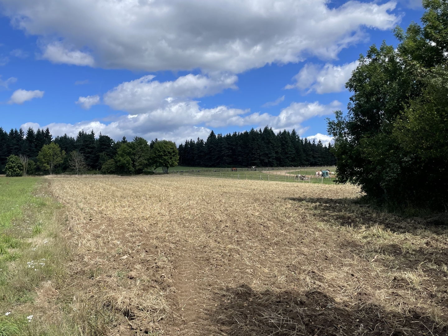 Terrain en individuel 6280 m²