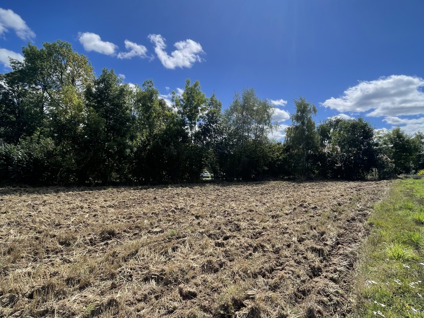 Terrain à vendre - 6280m2 - Lapte (43200)