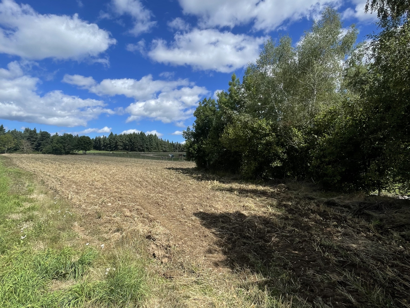 Terrain à vendre - 6280m2 - Lapte (43200)