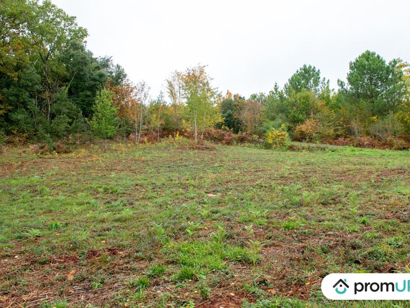 Terrain non constructible de 3310 m² à Sarlat-la-Canéda
