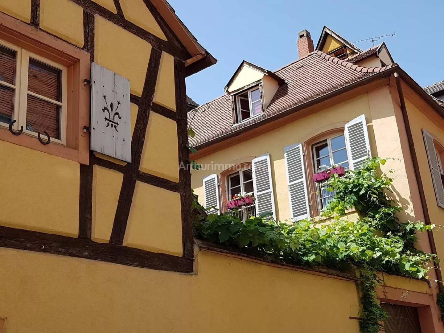 Maison 1 pièce 243 m²
