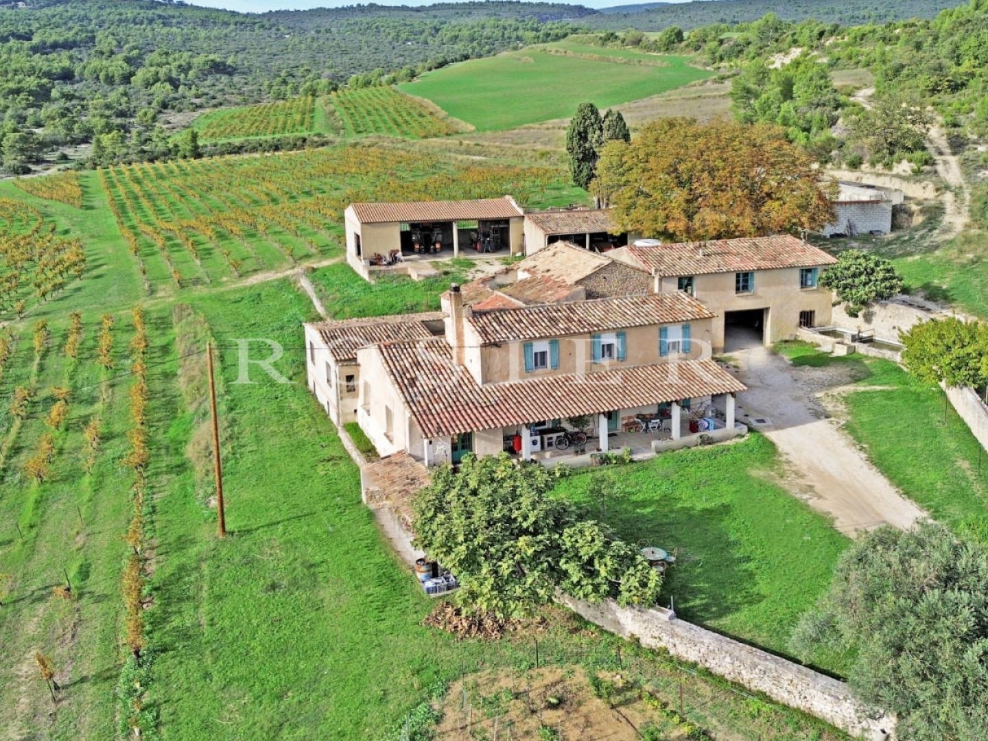 Domaine viticole et oléicole sur 73 hectares au coeur du Luberon