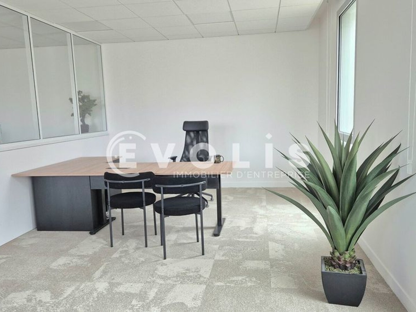 Bureaux - A VENDRE - 365 m² non divisibles