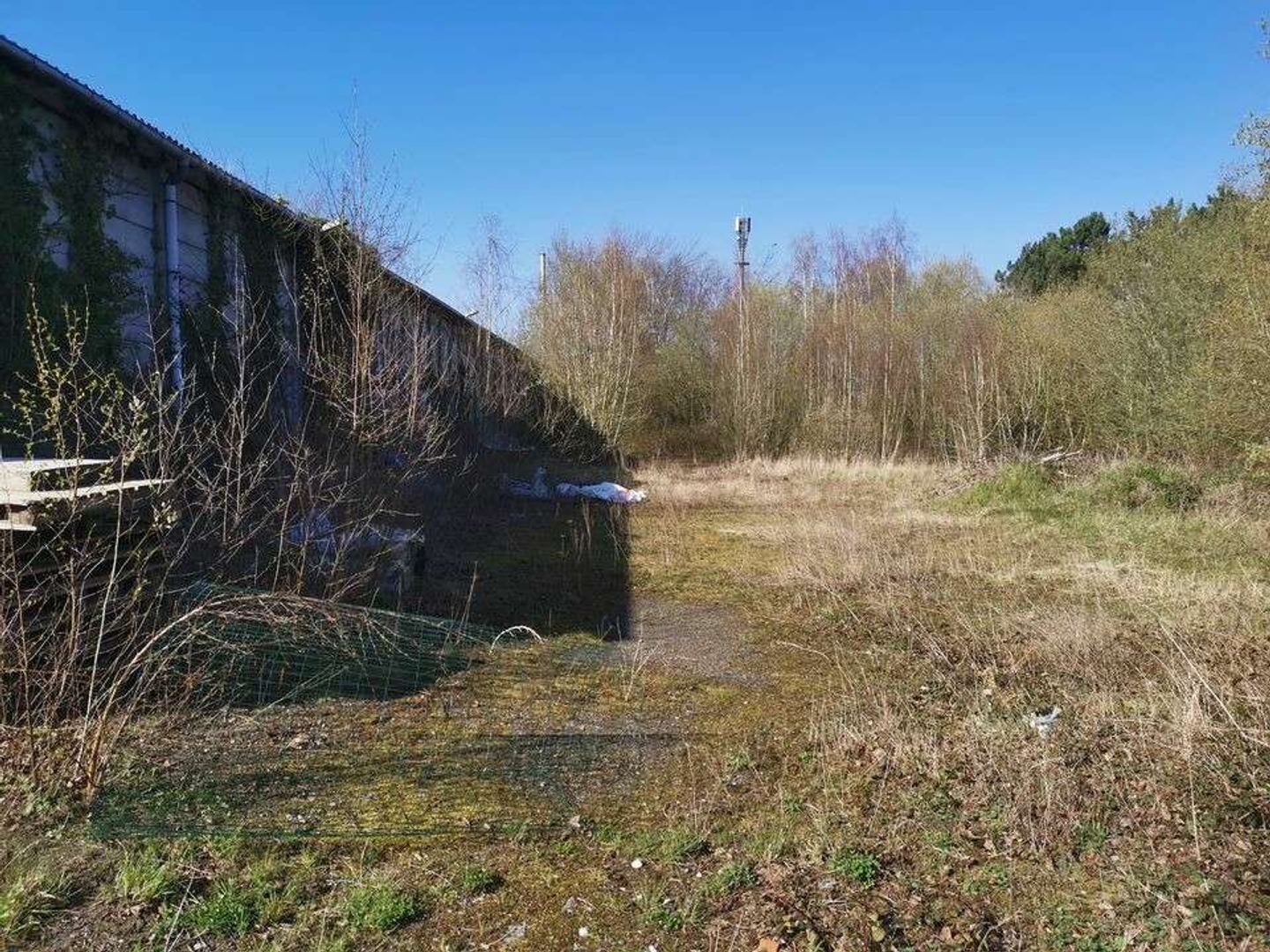 Locaux à vendre - 2990m2 - Lallaing (59167)