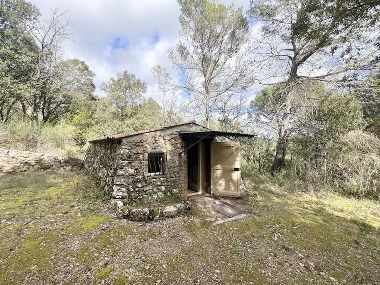 Terrain 10561 m²