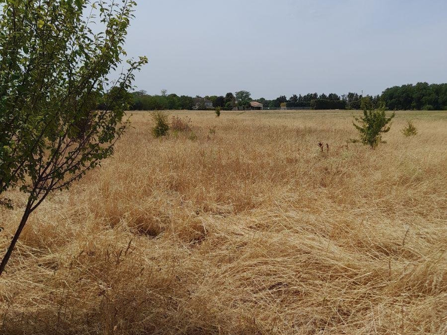 Terrain à bâtir 2000 m²