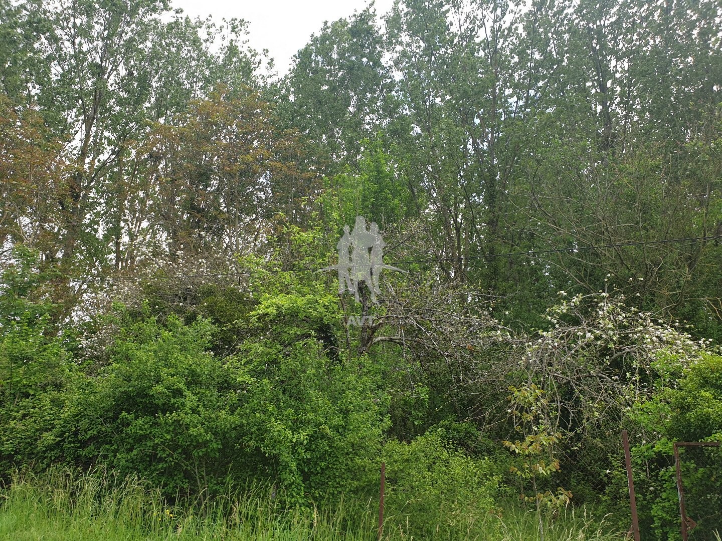 Terrain à vendre - 3400m2 - Villeloin Coulange (37460)