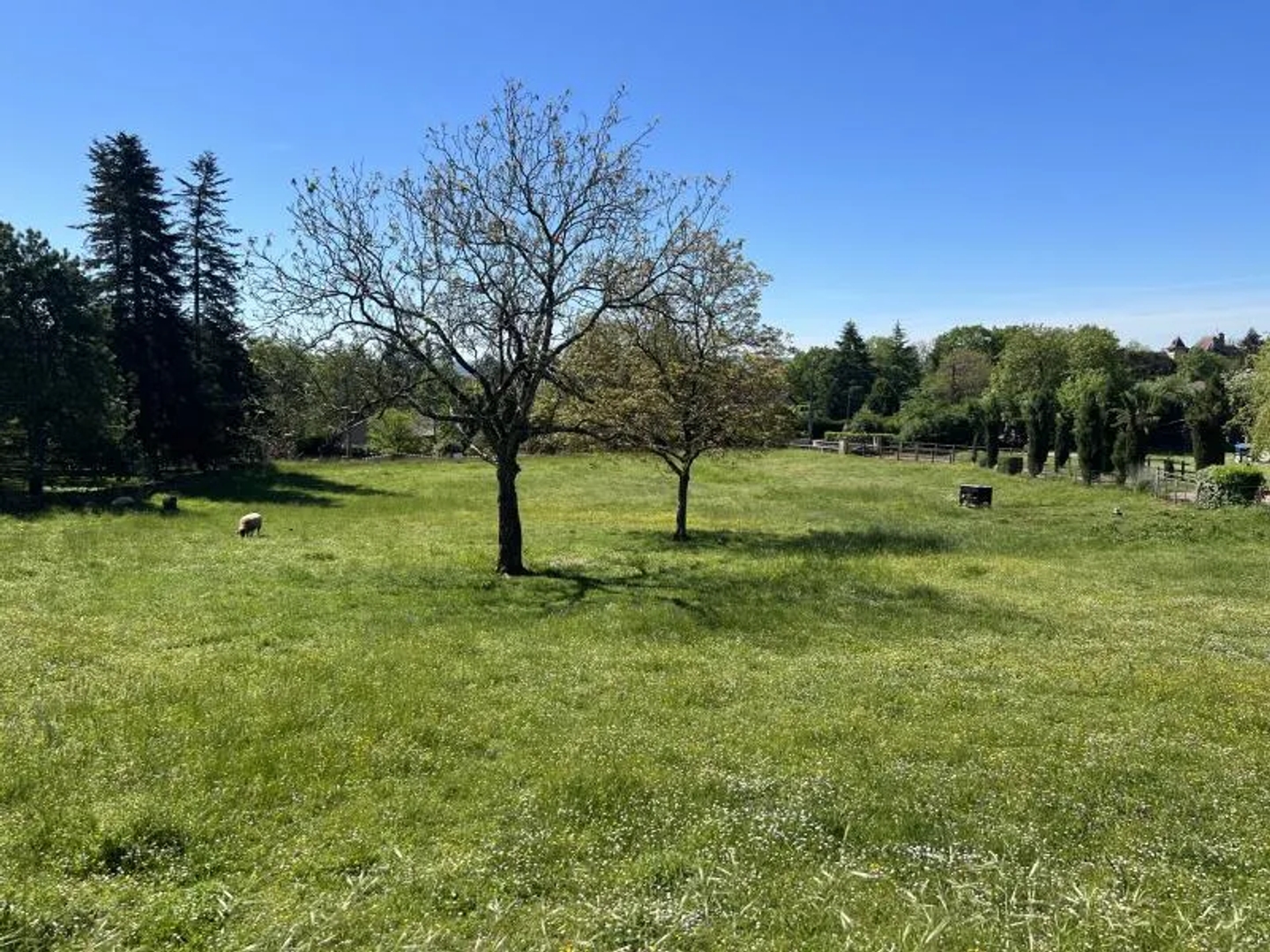 Terrain 1825 m²