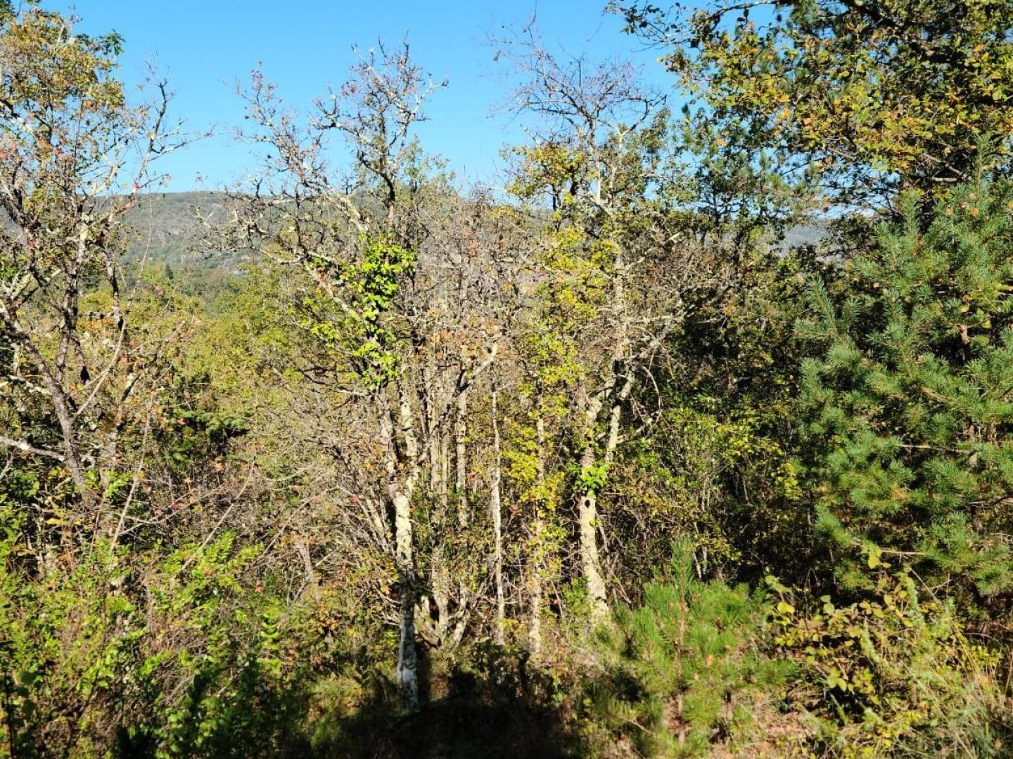 Beau Terrain constructible avec vue
