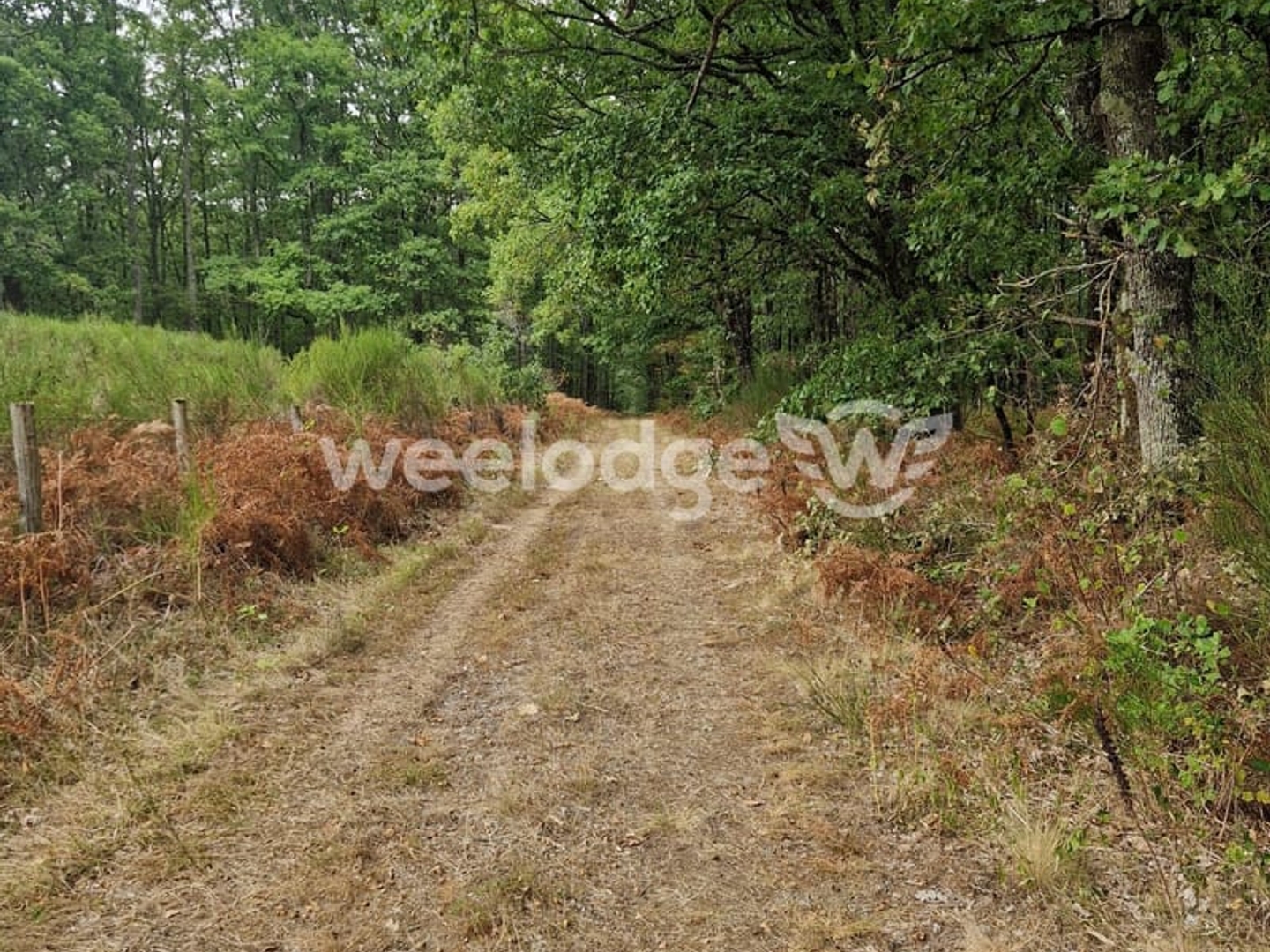 Terrain à vendre - 810000m2 - Velles (36330)