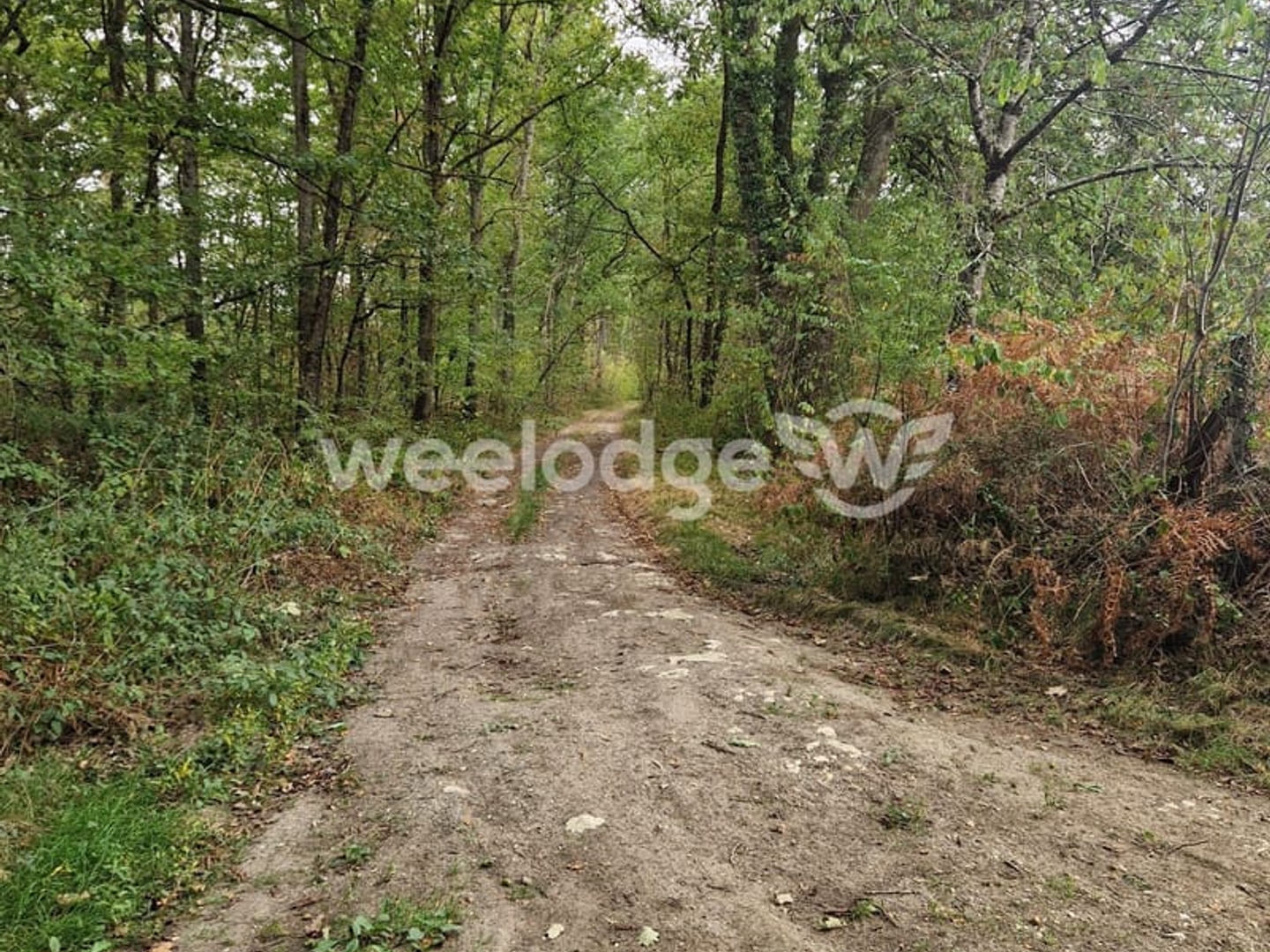 Terrain à vendre - 810000m2 - Velles (36330)