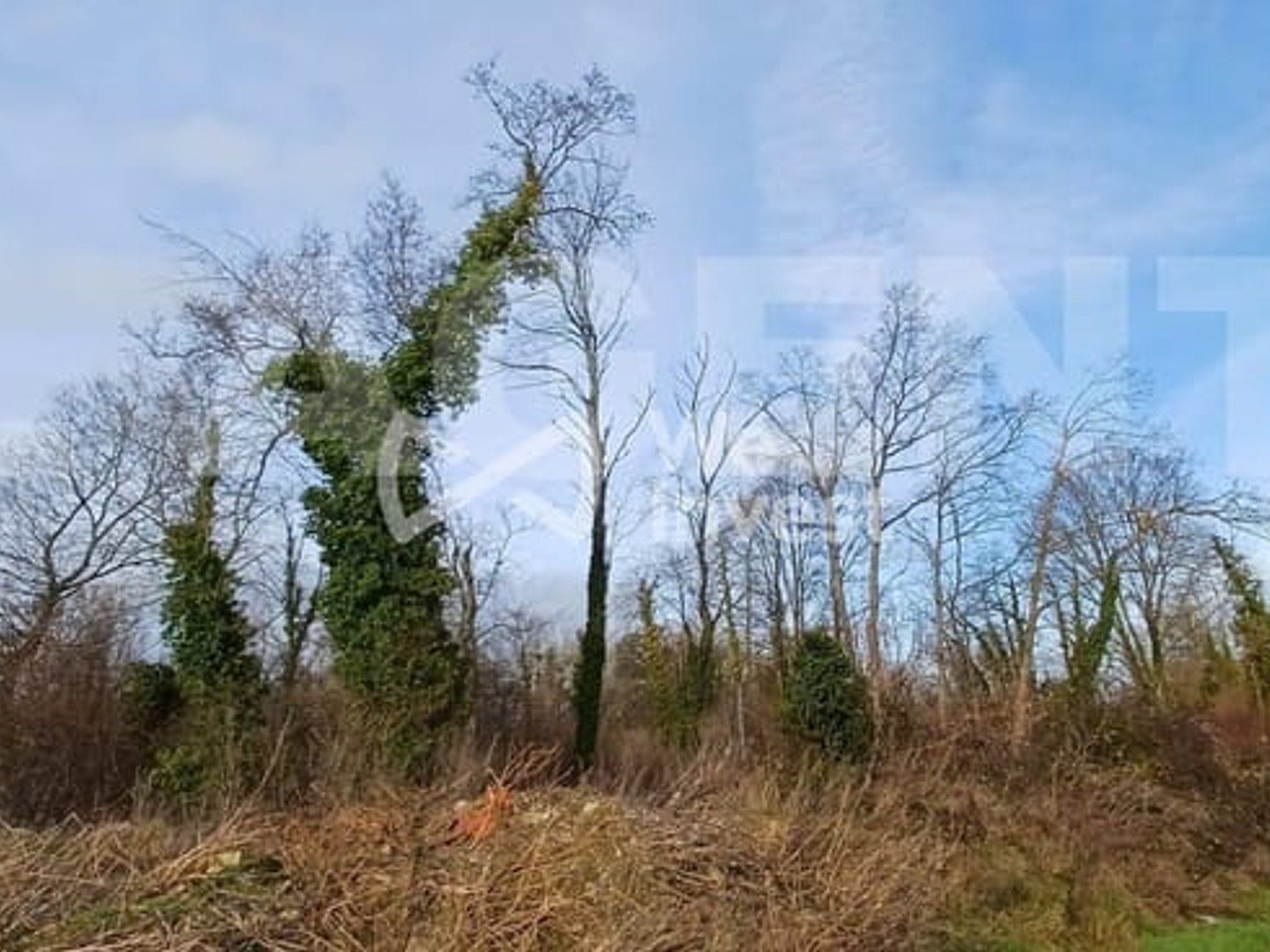 Terrain 1026 m²