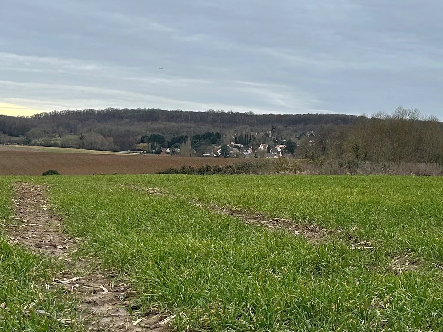 Terrain en individuel 452 m²