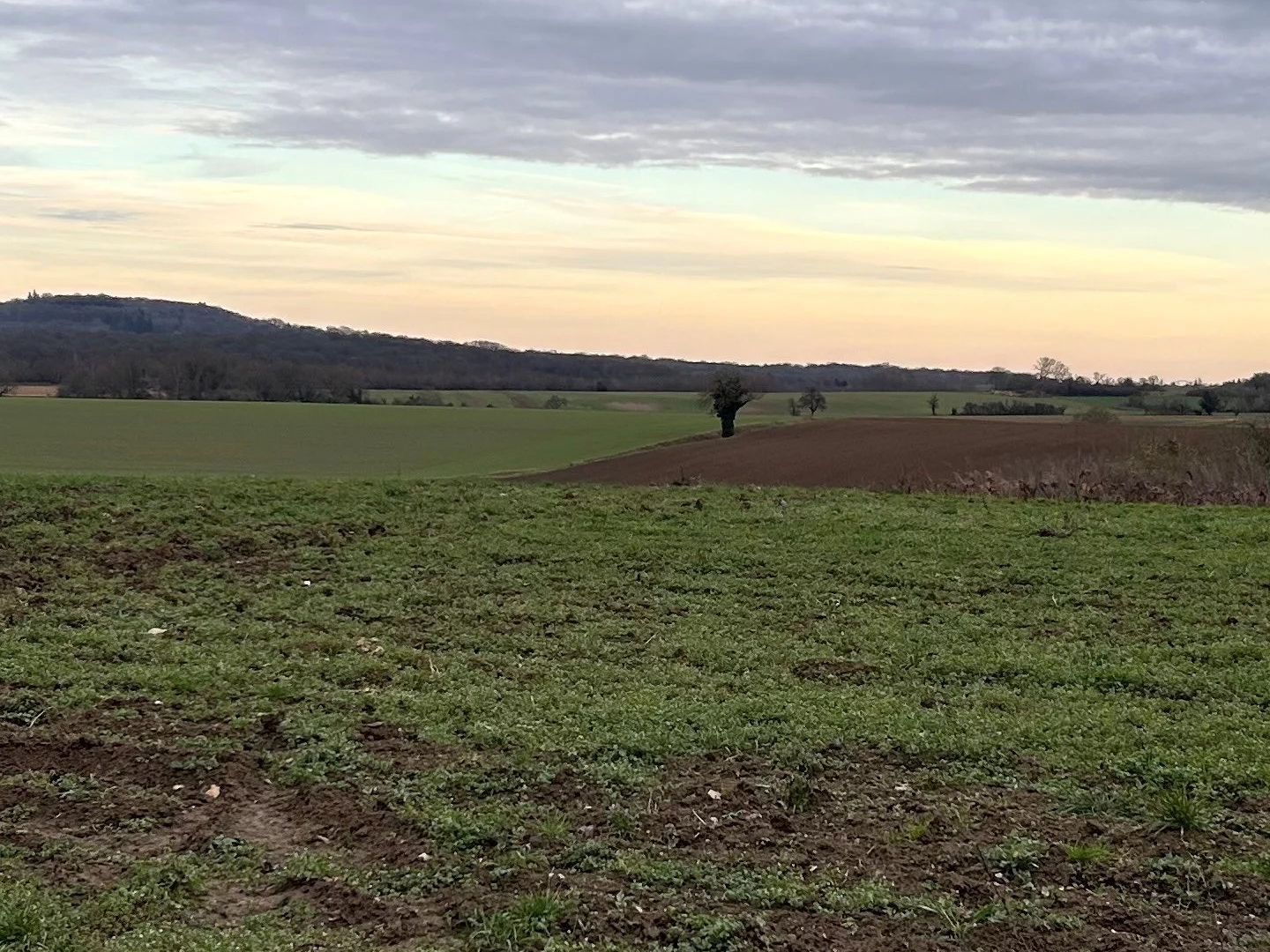Terrain à vendre - 452m2 - Villiers-Adam (95840)