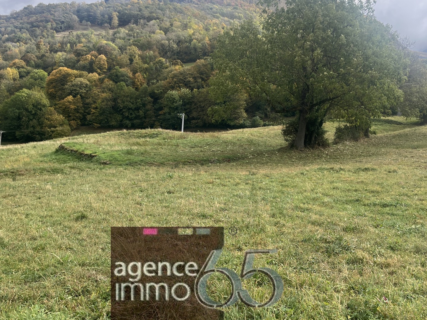 Terrain constructible