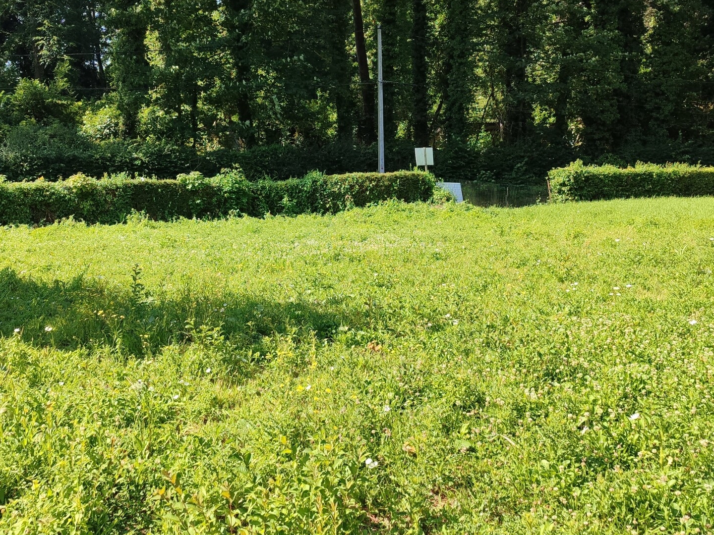 Terrain en individuel 1161 m²