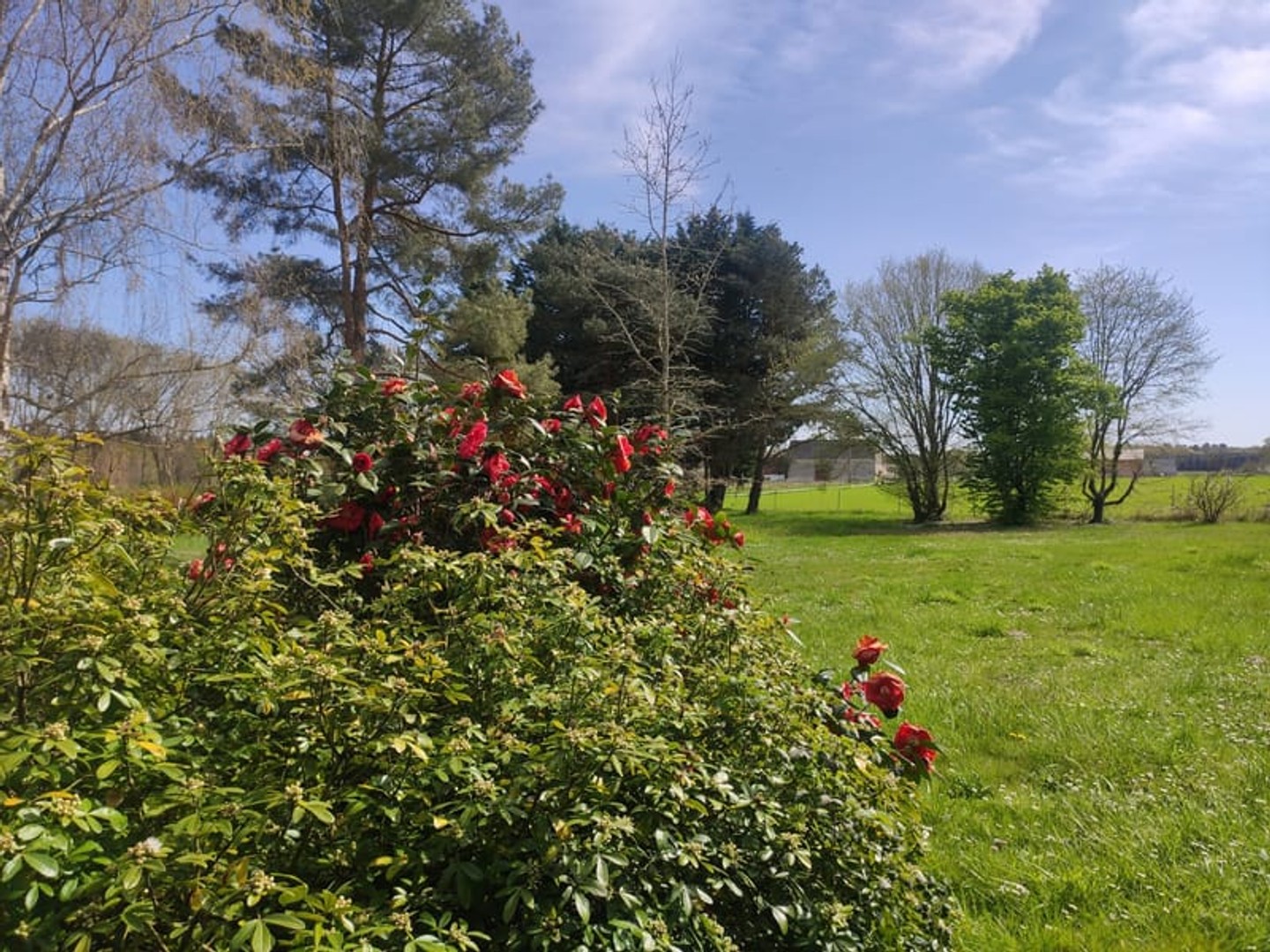 LAILLY-EN-VAL Propriété rare avec deux habitations indépen