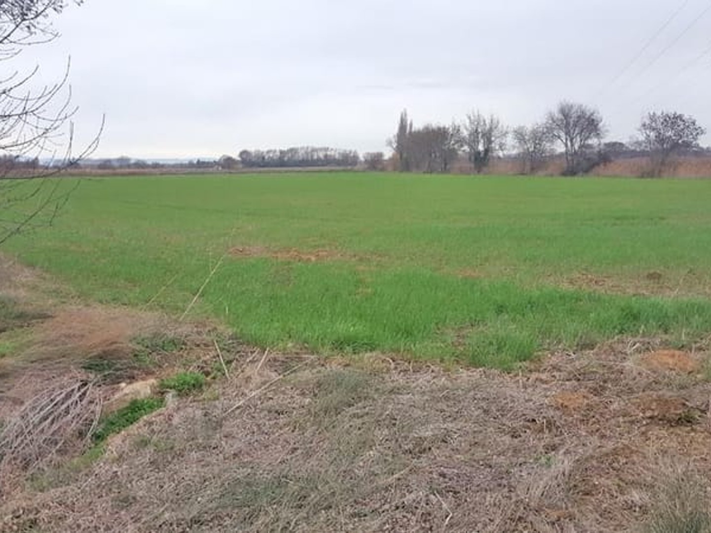 Terrain
