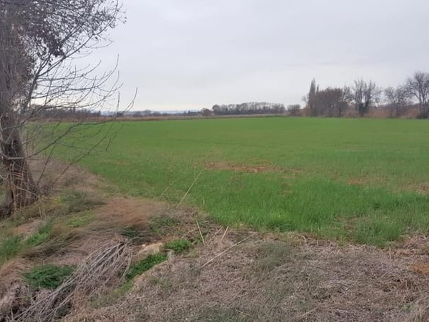 Terrain à vendre - 19460m2 - Narbonne (11100)