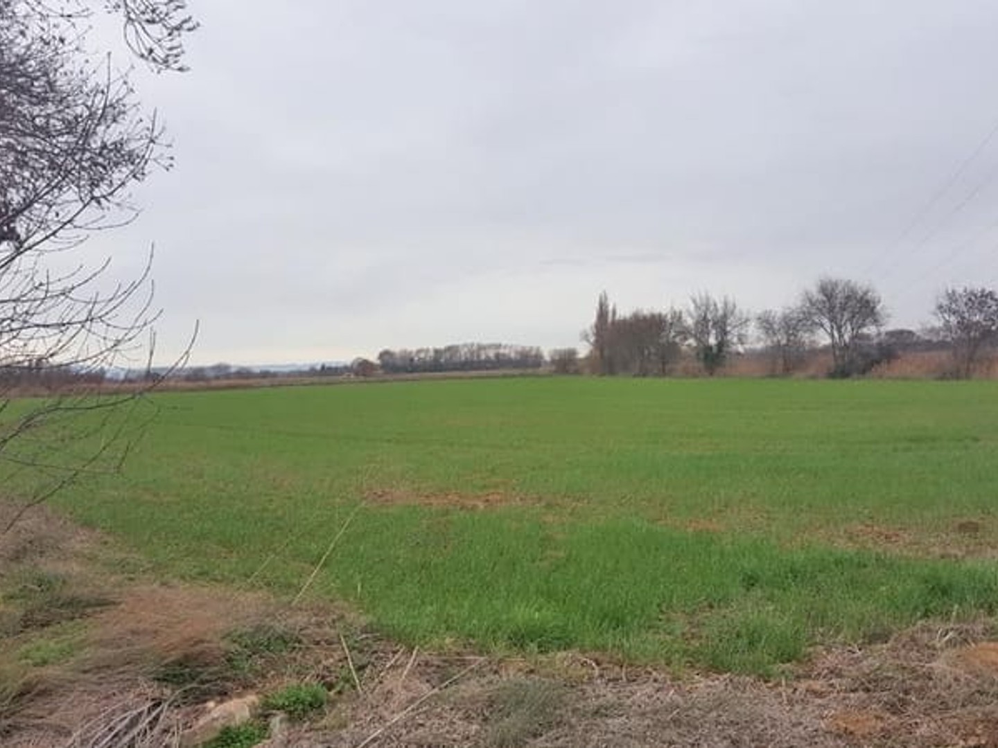 Terrain à vendre - 19460m2 - Narbonne (11100)