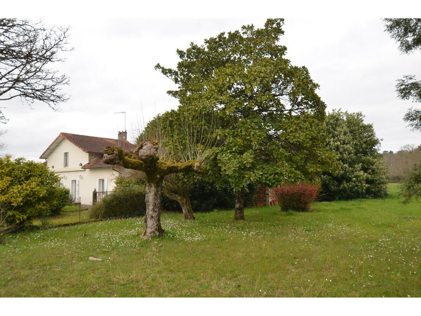 Maison à vendre - 5 pièces - 83m2 - Montpon-Ménestérol (24700)