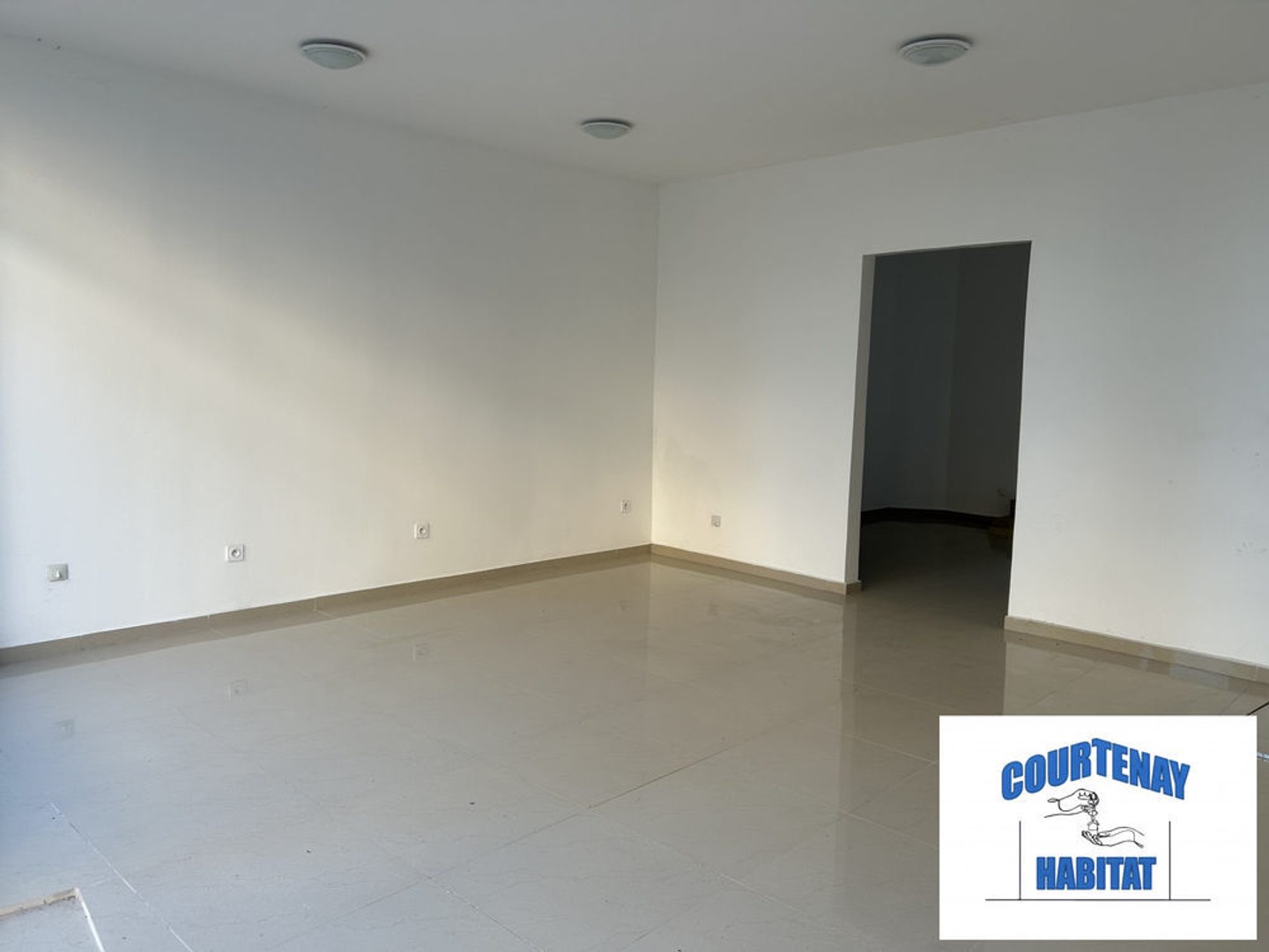 Immeuble à vendre - 4 pièces - 163m2 - Courtenay (45320)