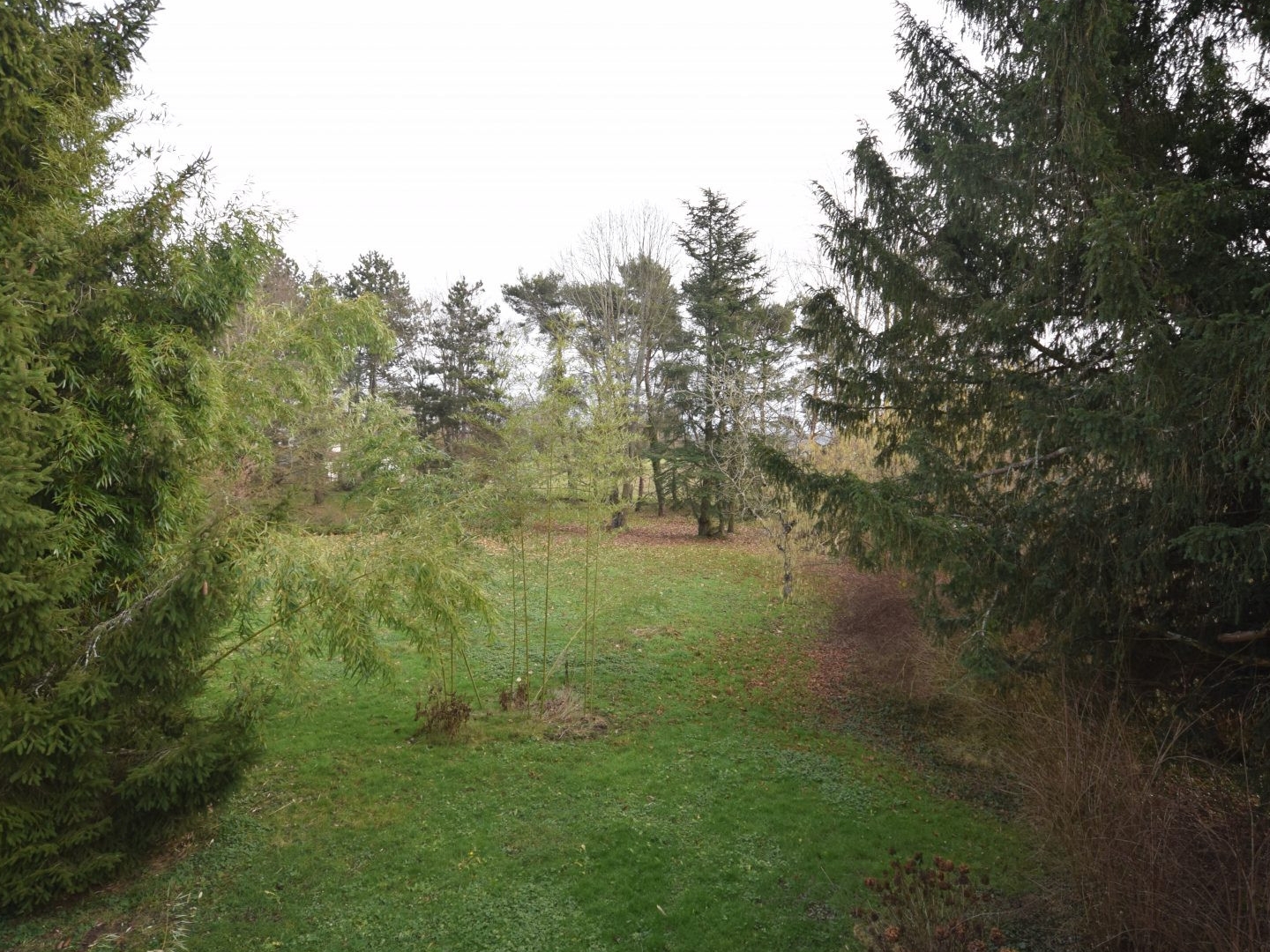 Maison à vendre - 10 pièces - 242m2 - Frasne-Les-Meulières (39290)