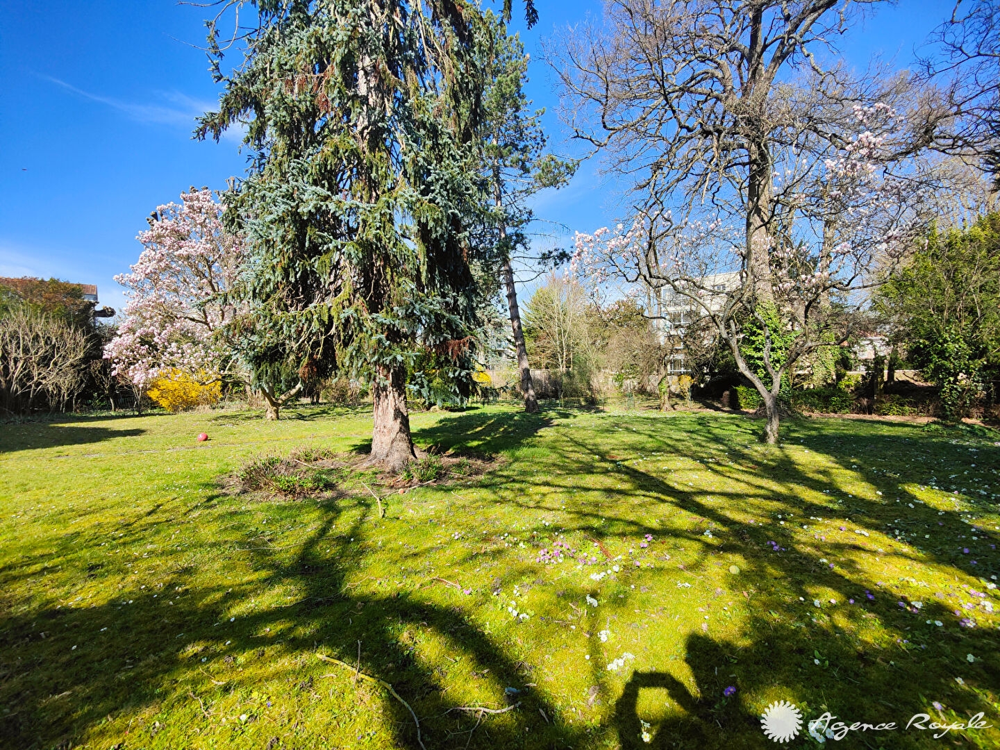 Maison 3 pièces 70 m²
