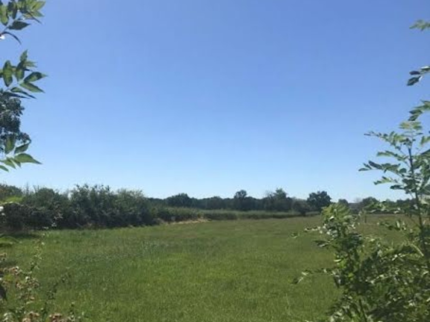 Terrain 1500 m²
