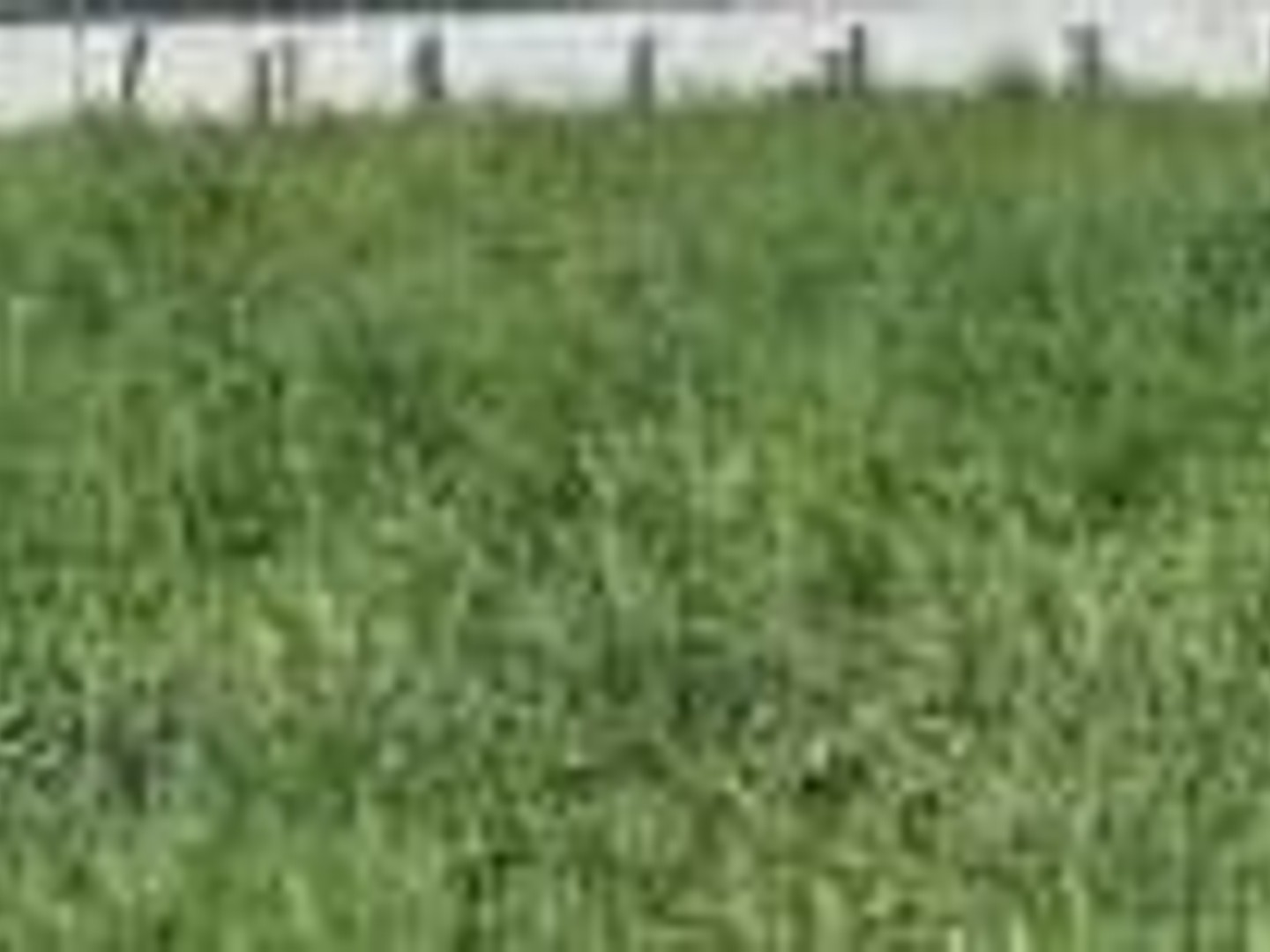 Terrain 940 m²