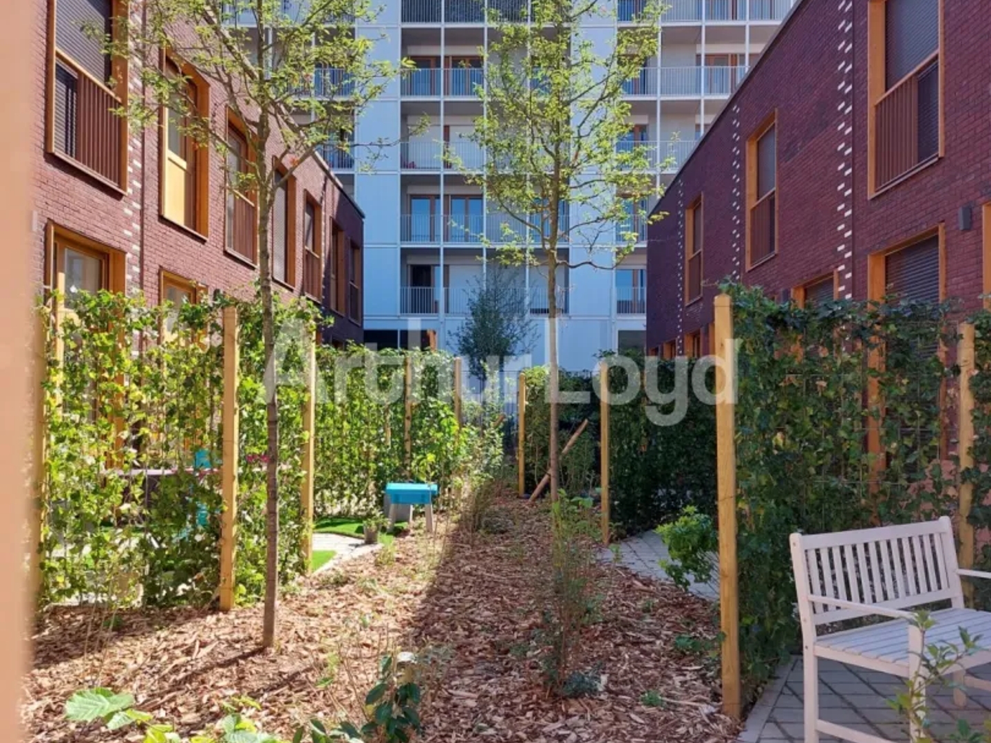 Locaux à vendre - 362m2 - Lille (59000)