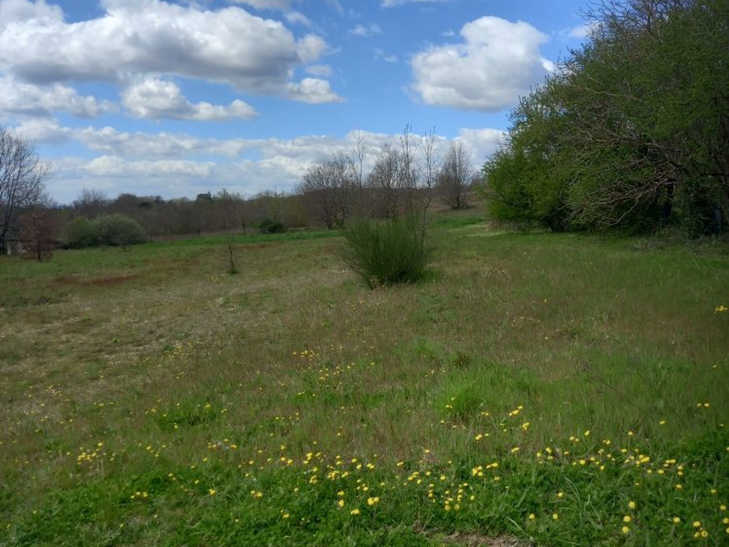 Au calme en campagne direction A68 beau terrain constructible