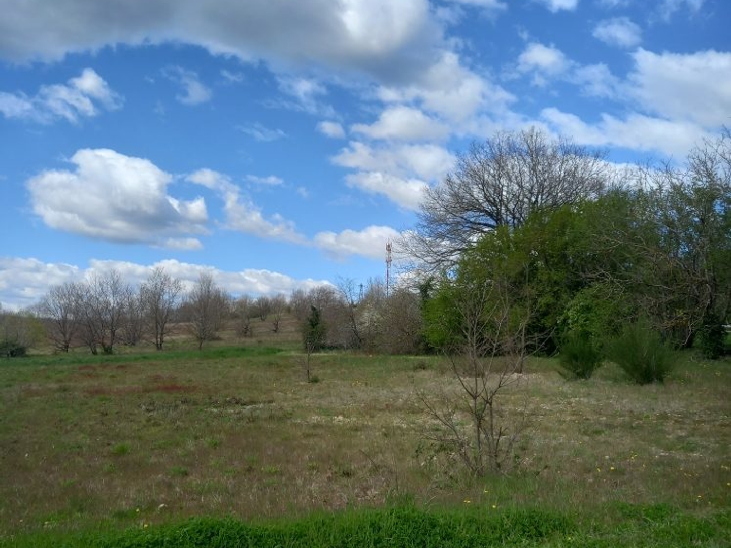 Terrain à vendre - 1424m2 - Graulhet (81300)