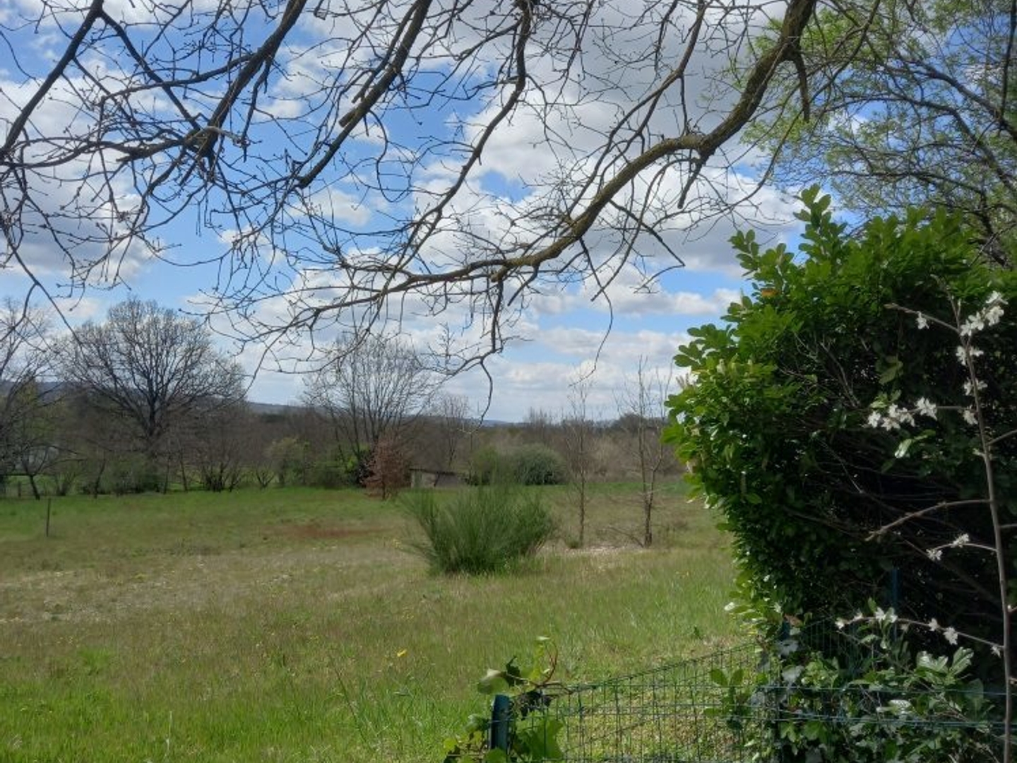 Terrain à vendre - 1424m2 - Graulhet (81300)