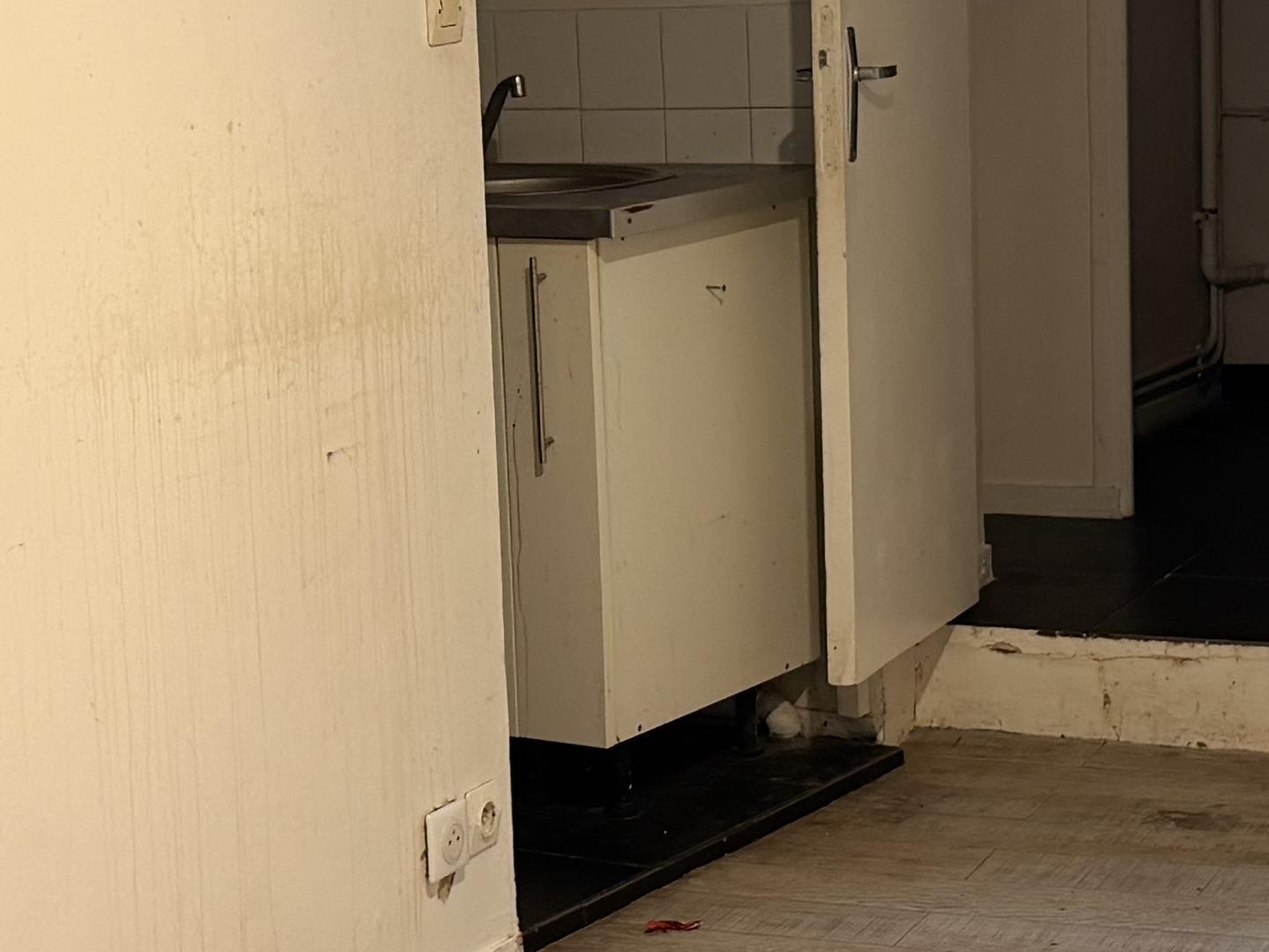 Appartement 1 pièce 19 m²