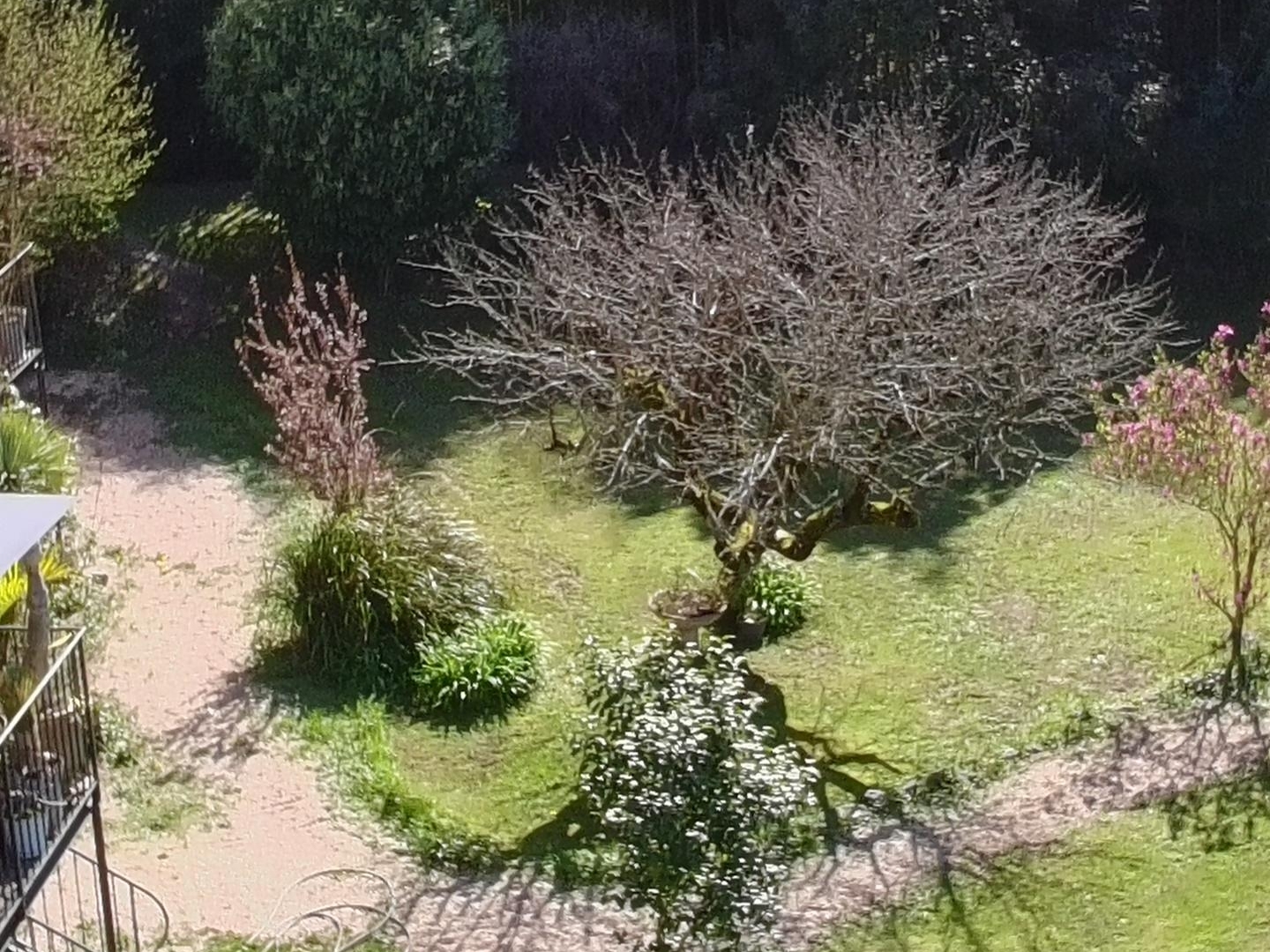Maison 10 pièces 225 m²