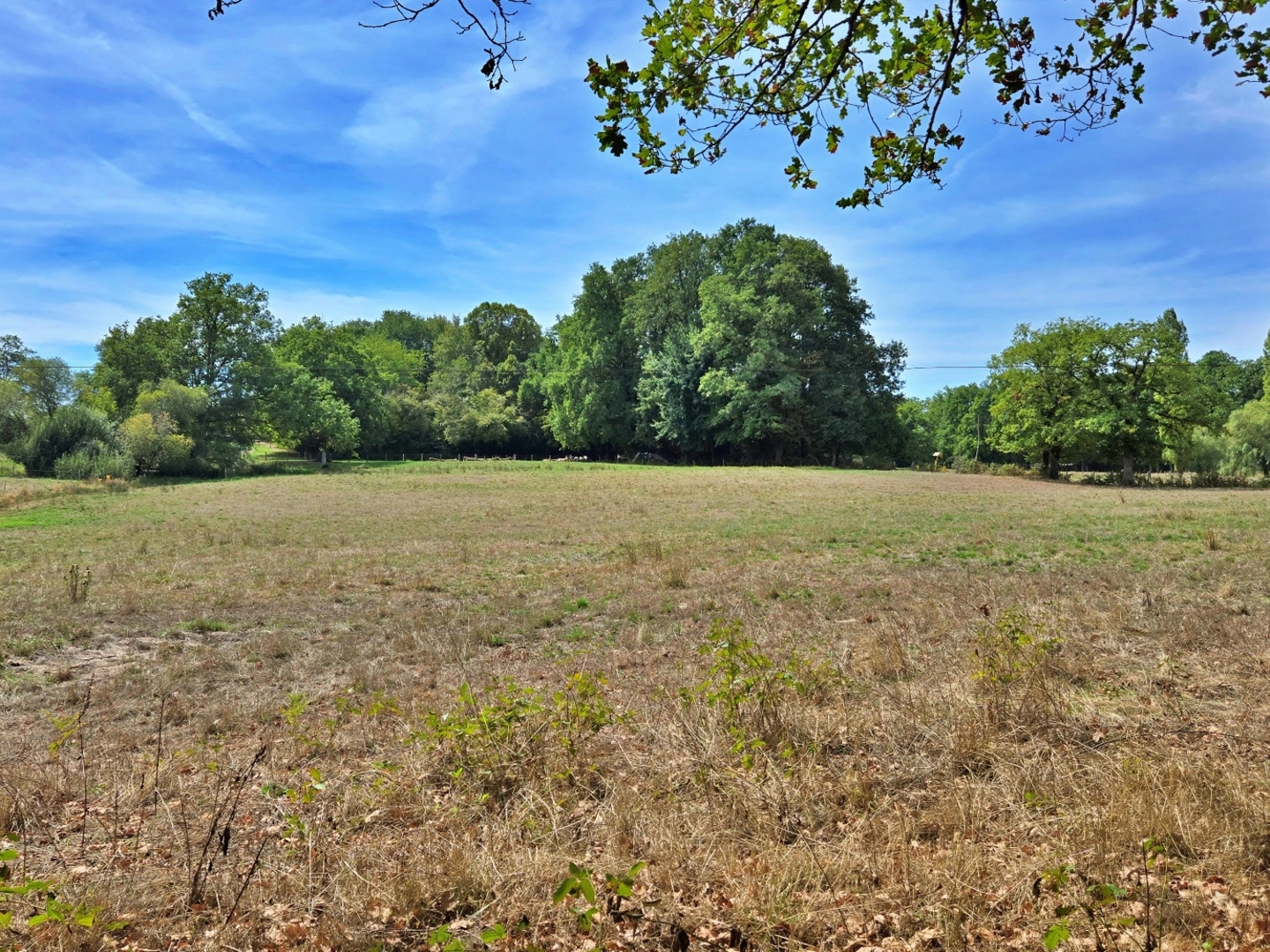Terrain à vendre - 6511m2 - Veyrac (87520)
