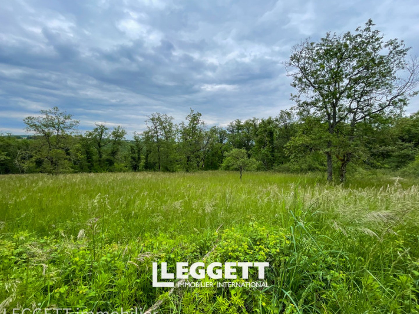 terrain NaN pièce(s), LACHAPELLE-AUZAC