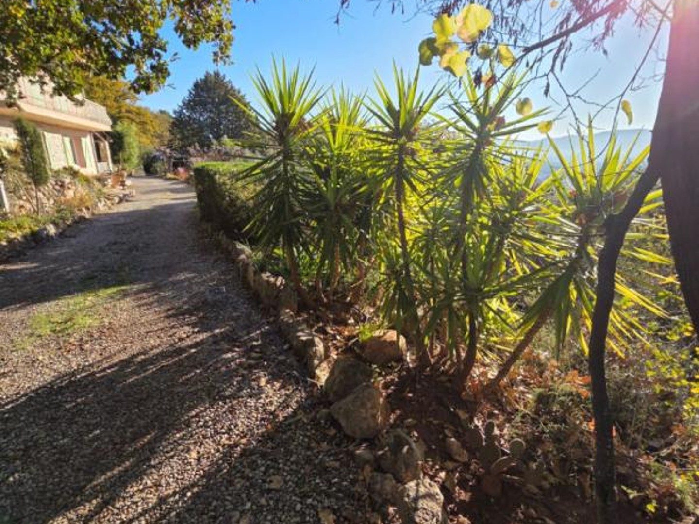 Maison à vendre - 6 pièces - 160m2 - Le Cannet-Des-Maures (83340)