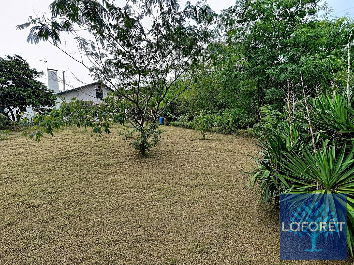 Terrain 847 m²