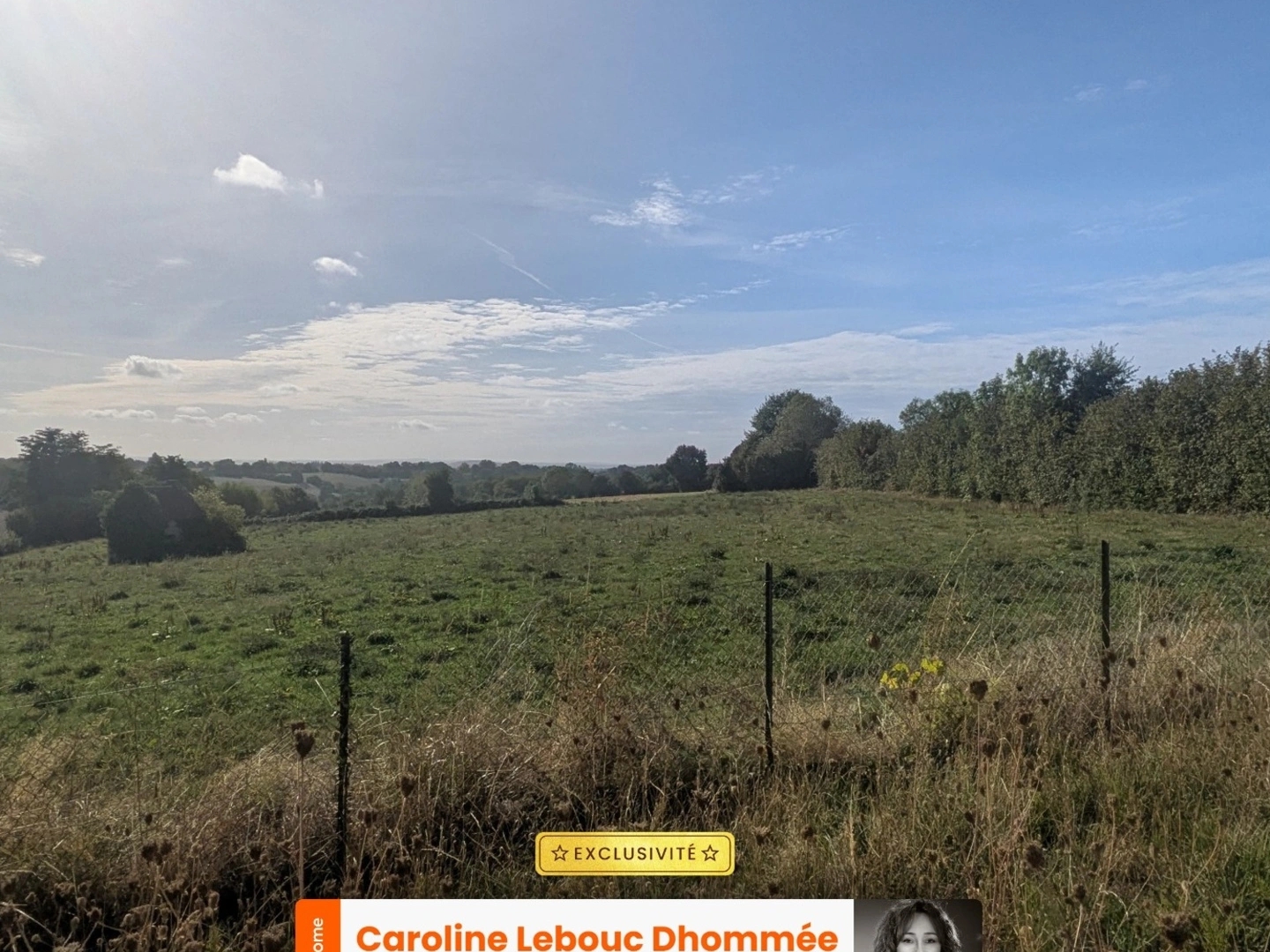 Pavillon sur sous-sol complet avec prairie 6 000 m² — Vue dégagée plein sud au calme absolu