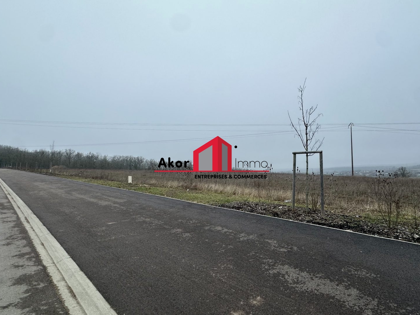 Terrain à vendre - 16833m2 - Venoy (89290)