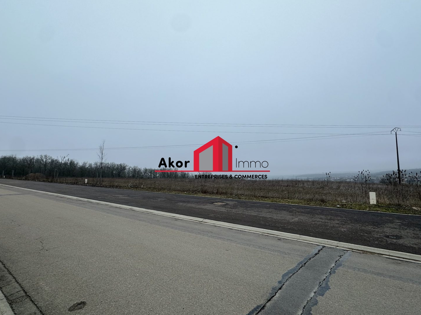 Terrain à vendre - 16833m2 - Venoy (89290)