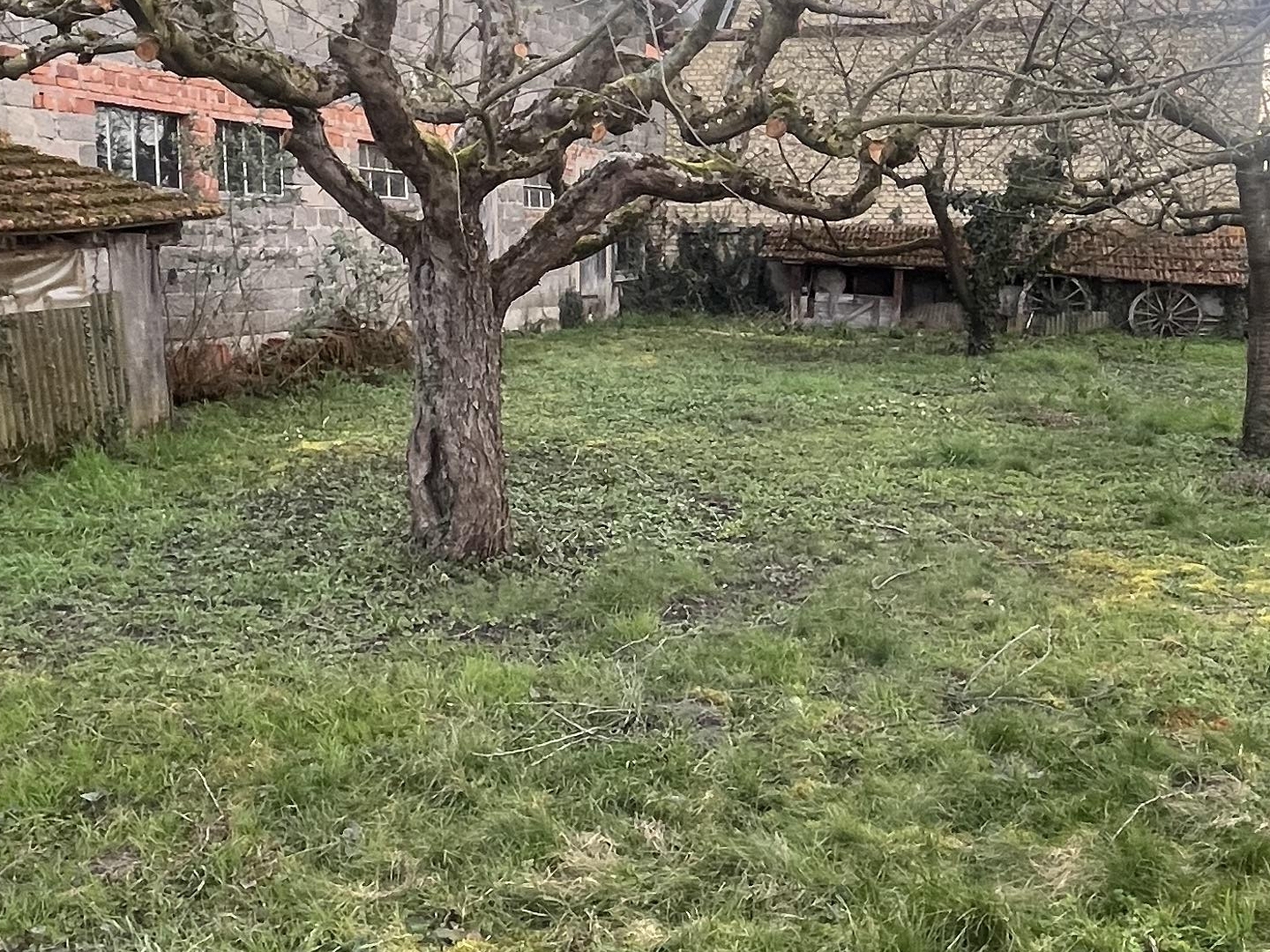 Maison à vendre - 100m2 - Saasenheim (67390)