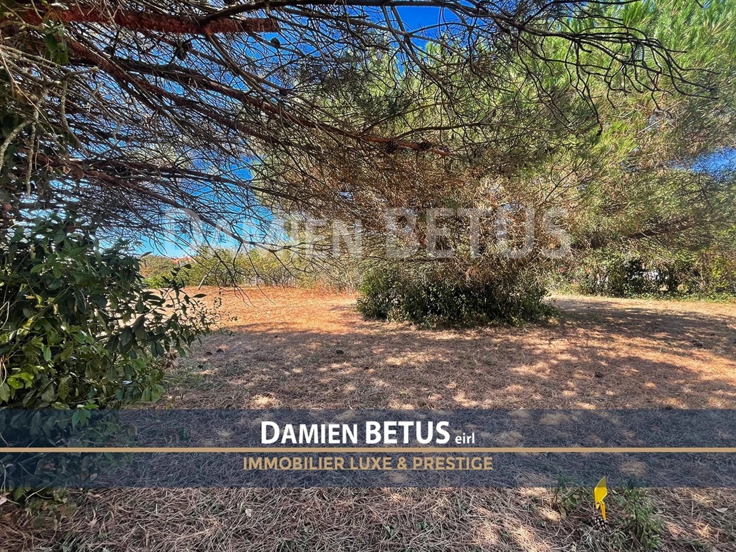 Terrain 1108 m²