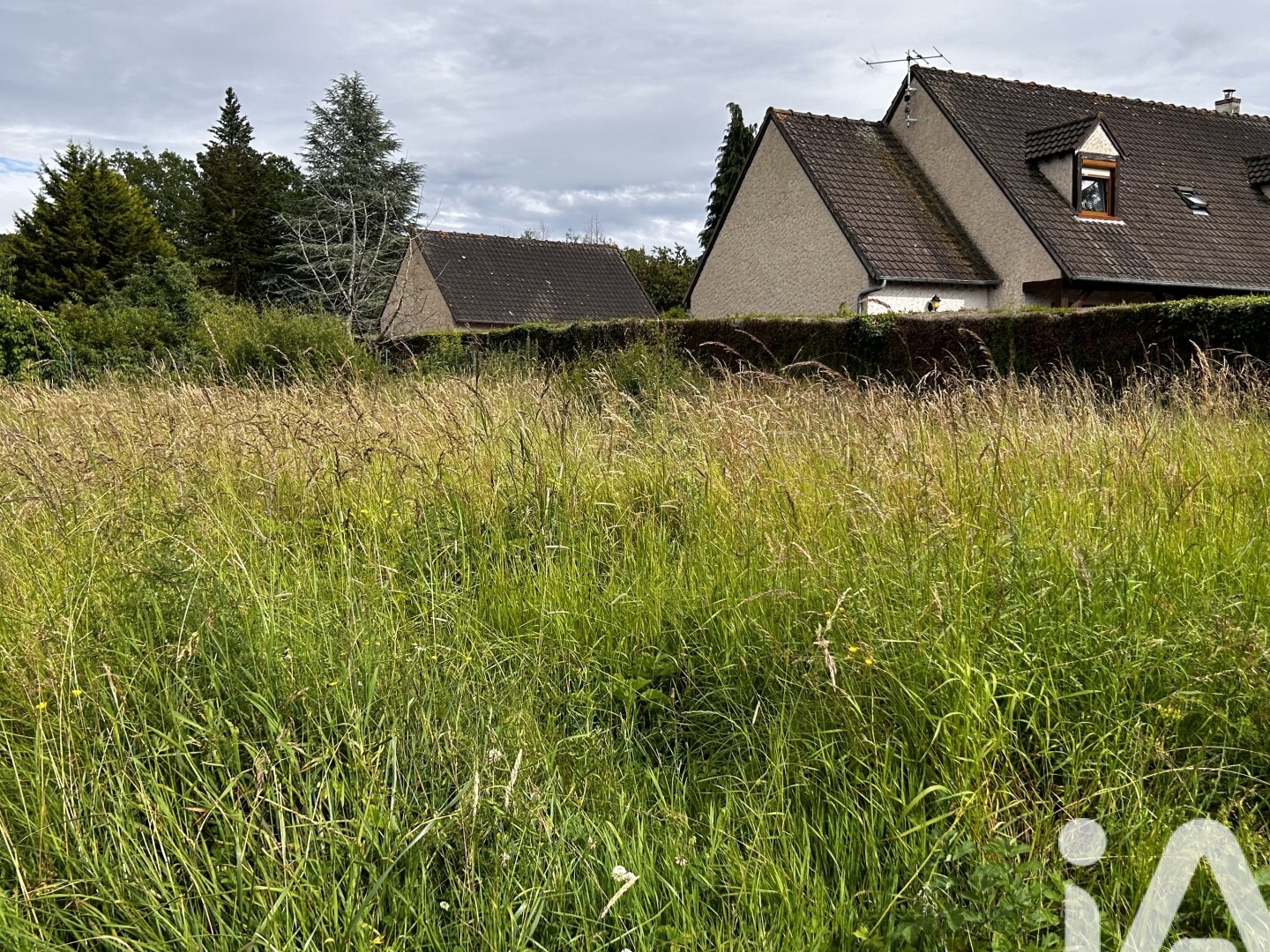 Local 250 m²