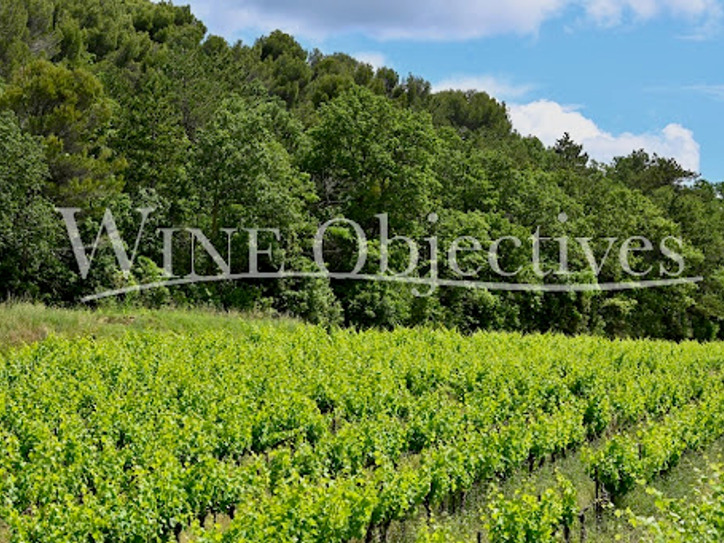 Terrain à vendre - 330000m2 - Bollène (84500)